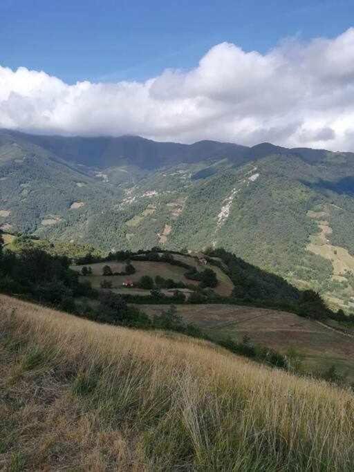 Encanto Asturiano Aller Luaran gambar